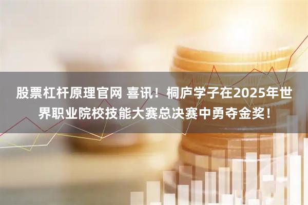 股票杠杆原理官网 喜讯！桐庐学子在2025年世界职业院校技能大赛总决赛中勇夺金奖！