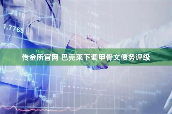 传金所官网 巴克莱下调甲骨文债务评级