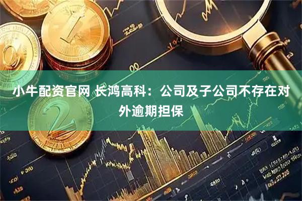 小牛配资官网 长鸿高科：公司及子公司不存在对外逾期担保