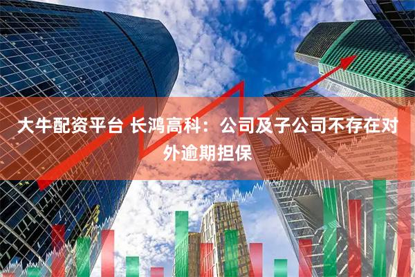 大牛配资平台 长鸿高科：公司及子公司不存在对外逾期担保